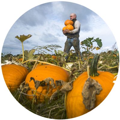 PYO-Pumpkins-Sessay_Thirsk