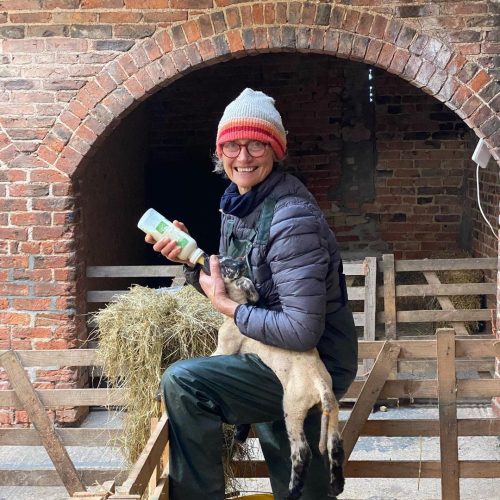 IMG-20241211_134233_2520-448039724